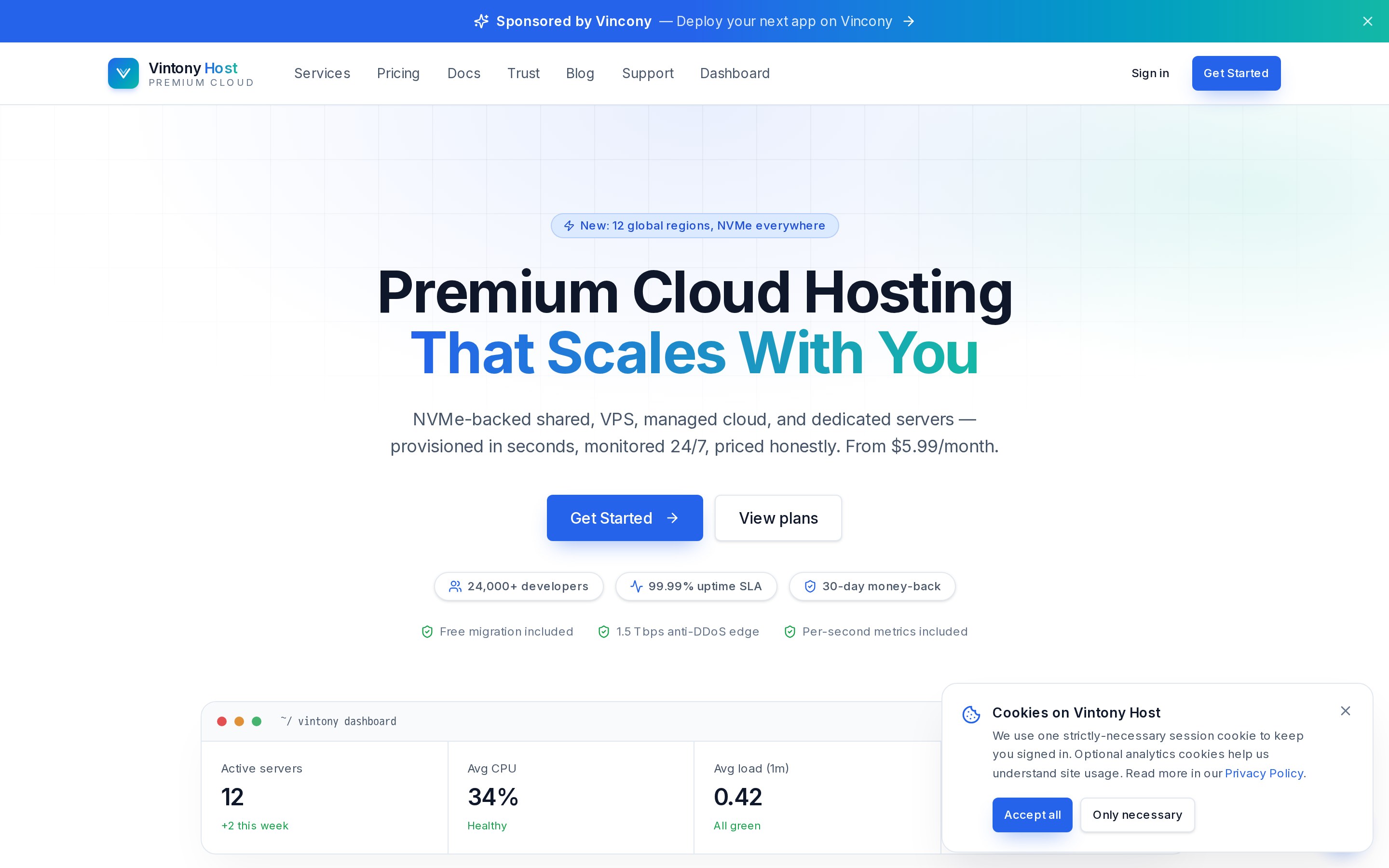 VintonyHost home page